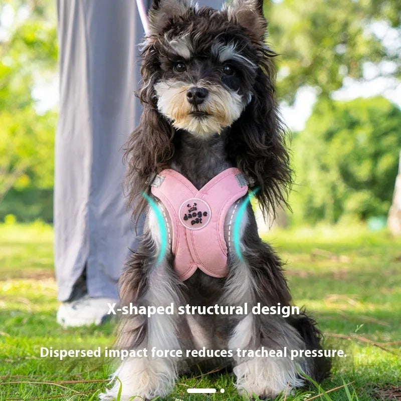 Adjustable dog harness and lead set with hand-holding rope in multiple colour options
