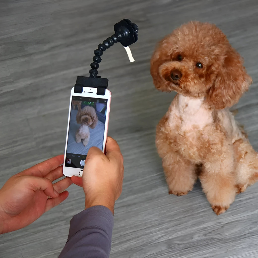 Black and white pet selfie stick with PVC construction, square clip and flower clip attachments