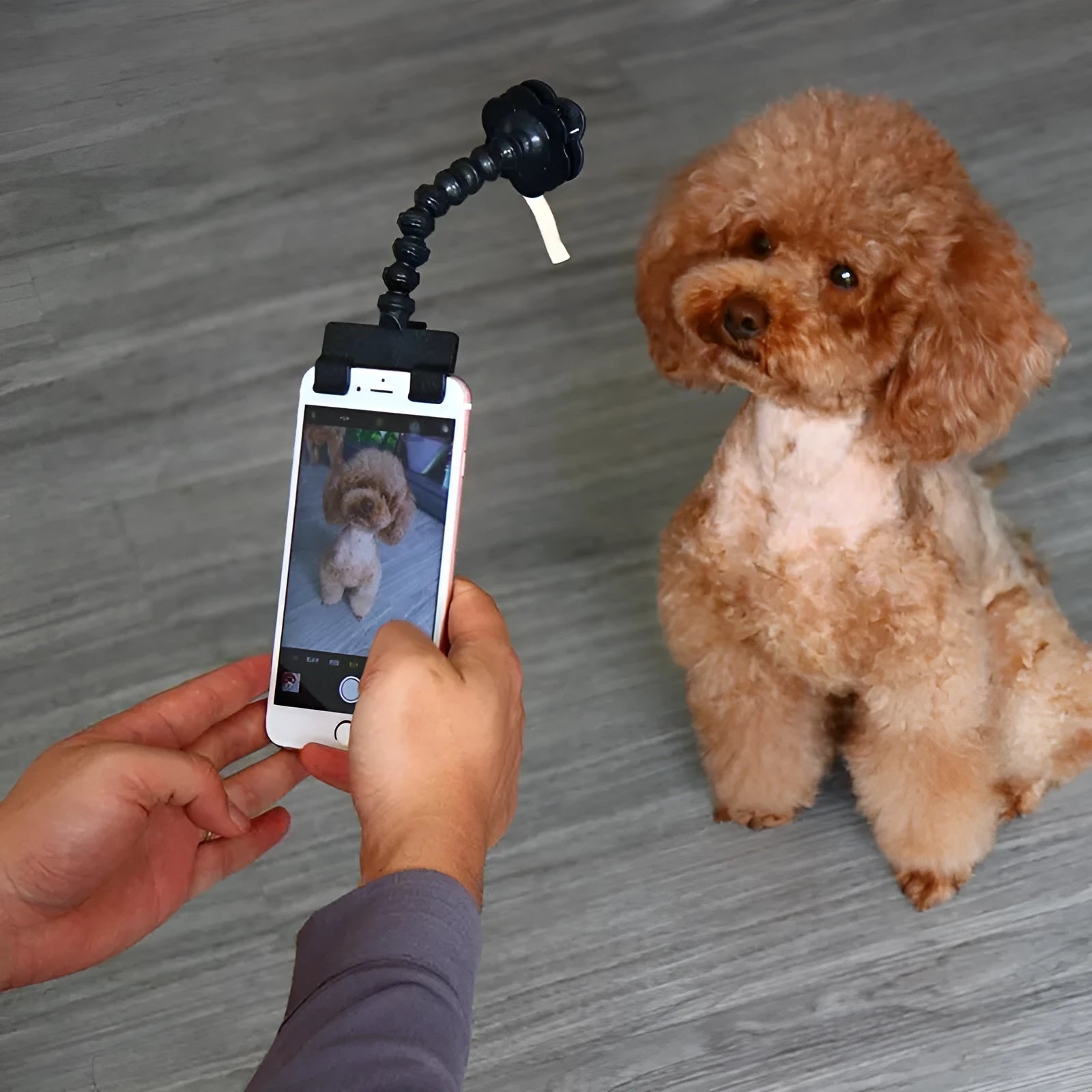 Black and white pet selfie stick with PVC construction, square clip and flower clip attachments
