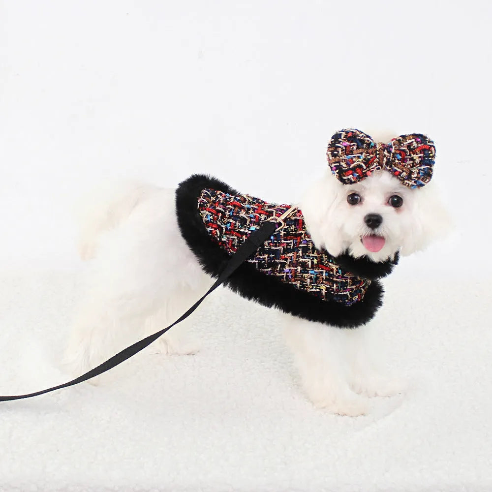 Dog wearing classic cloak with chest strap and attached hand holding rope