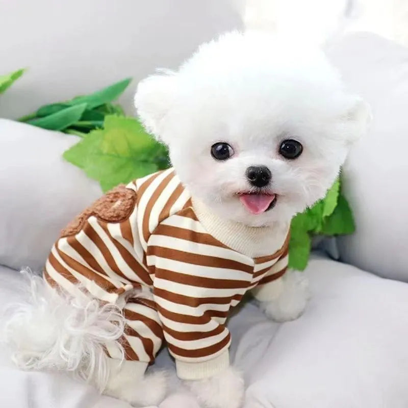 Blue striped bear four-legged pet pyjamas on a small dog with pullover round neck and long sleeves