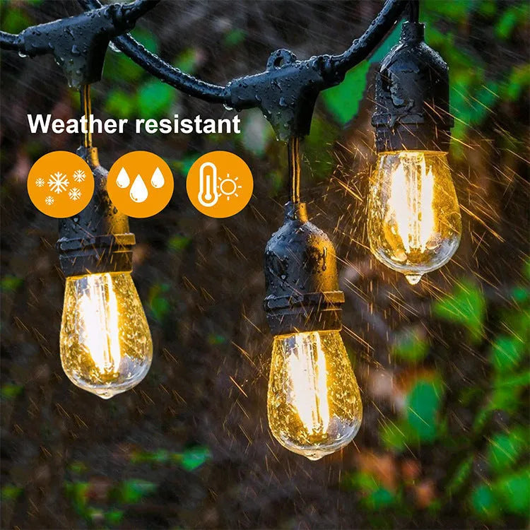 Black LED fairy light decoration string with EU plug for indoor and outdoor lighting