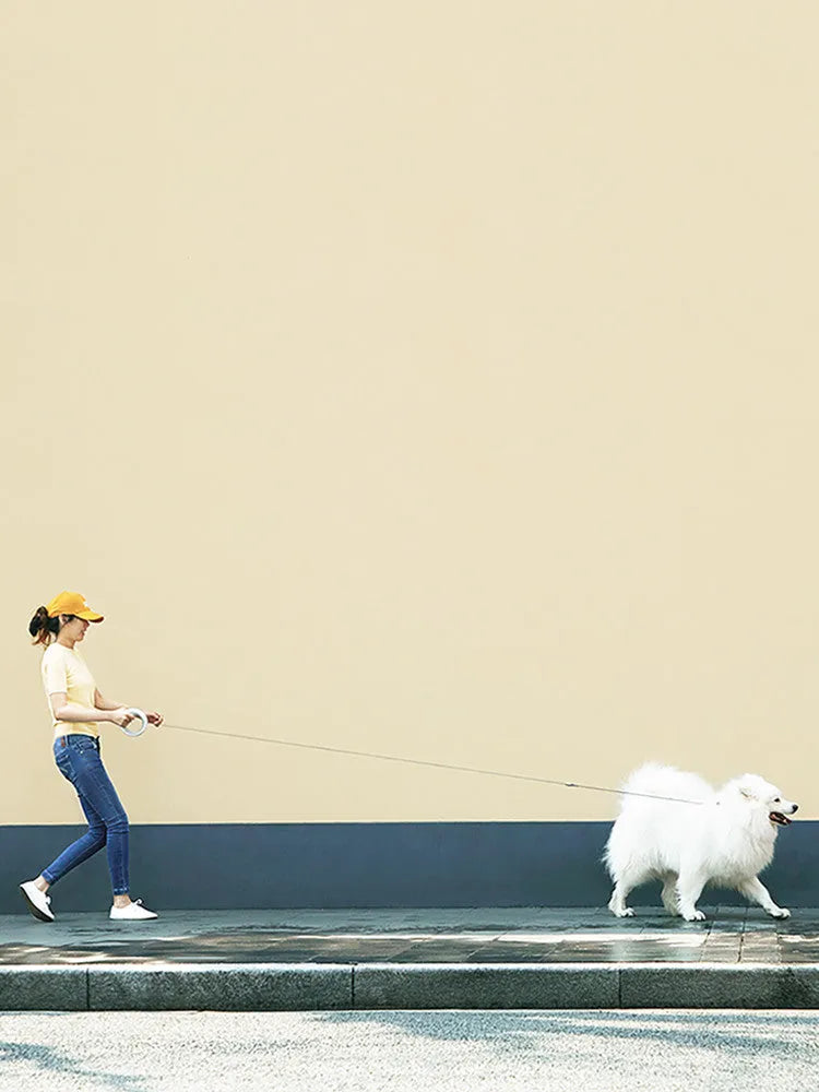 Meng Wangxing UFO retractable dog leash with detachable flashlight and ergonomic anti-slip handle in gray
