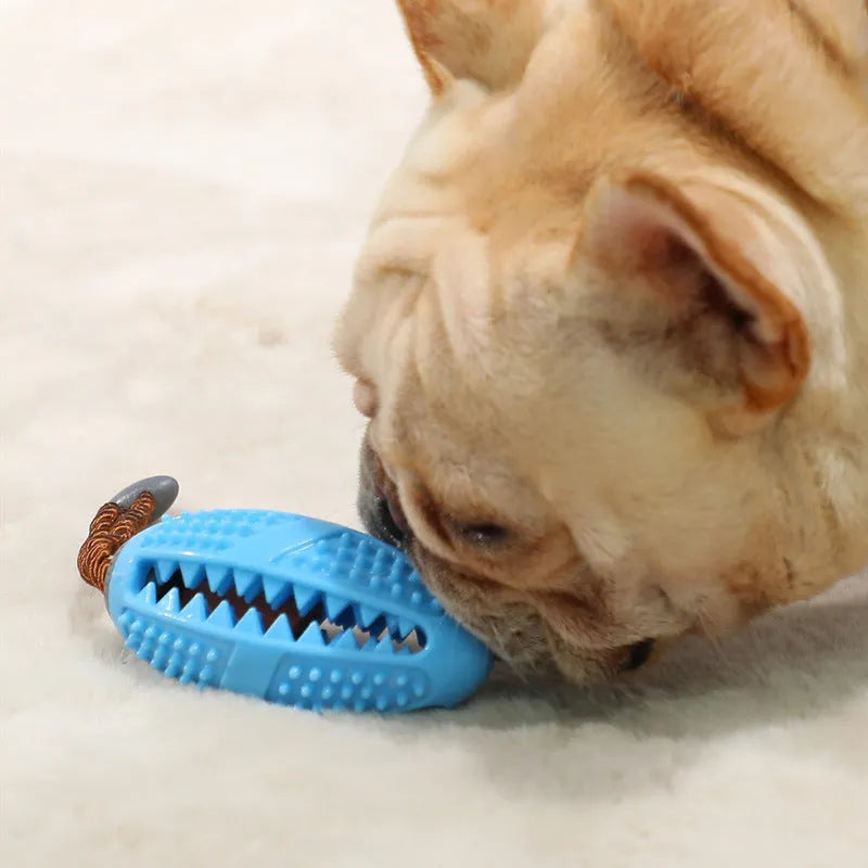 Blue TRP dog chewing toothbrush toy for small dogs up to 45 pounds on white background