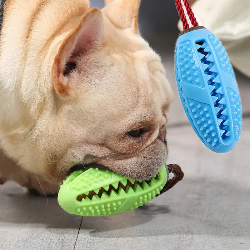 Blue TRP dog chewing toothbrush toy for small dogs up to 45 pounds on white background