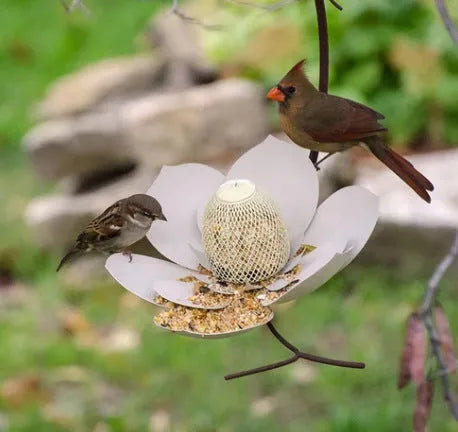 Wire garden petal shape bird feeder in red with 78cm length and 10cm bowl width for outdoor hanging use