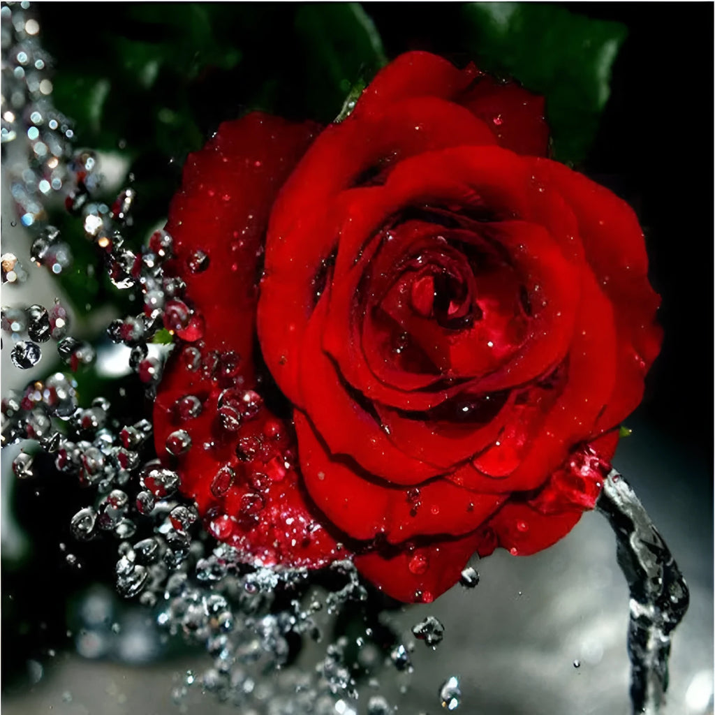 40x50cm digital oil painting kit with water drop red rose on linen canvas including brushes and paint