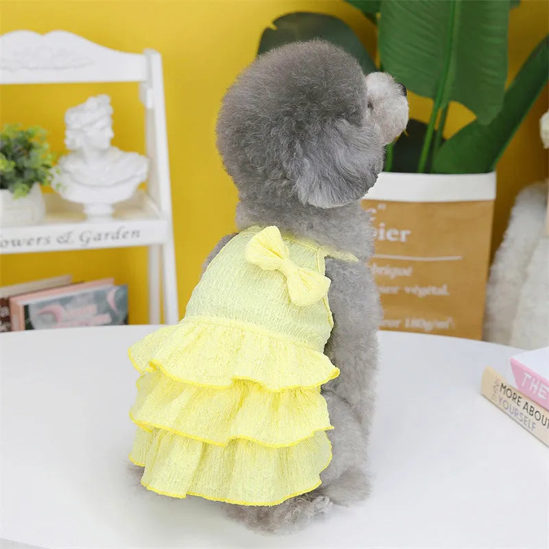 Small dog wearing candy layered skirt princess dress in rose red colour