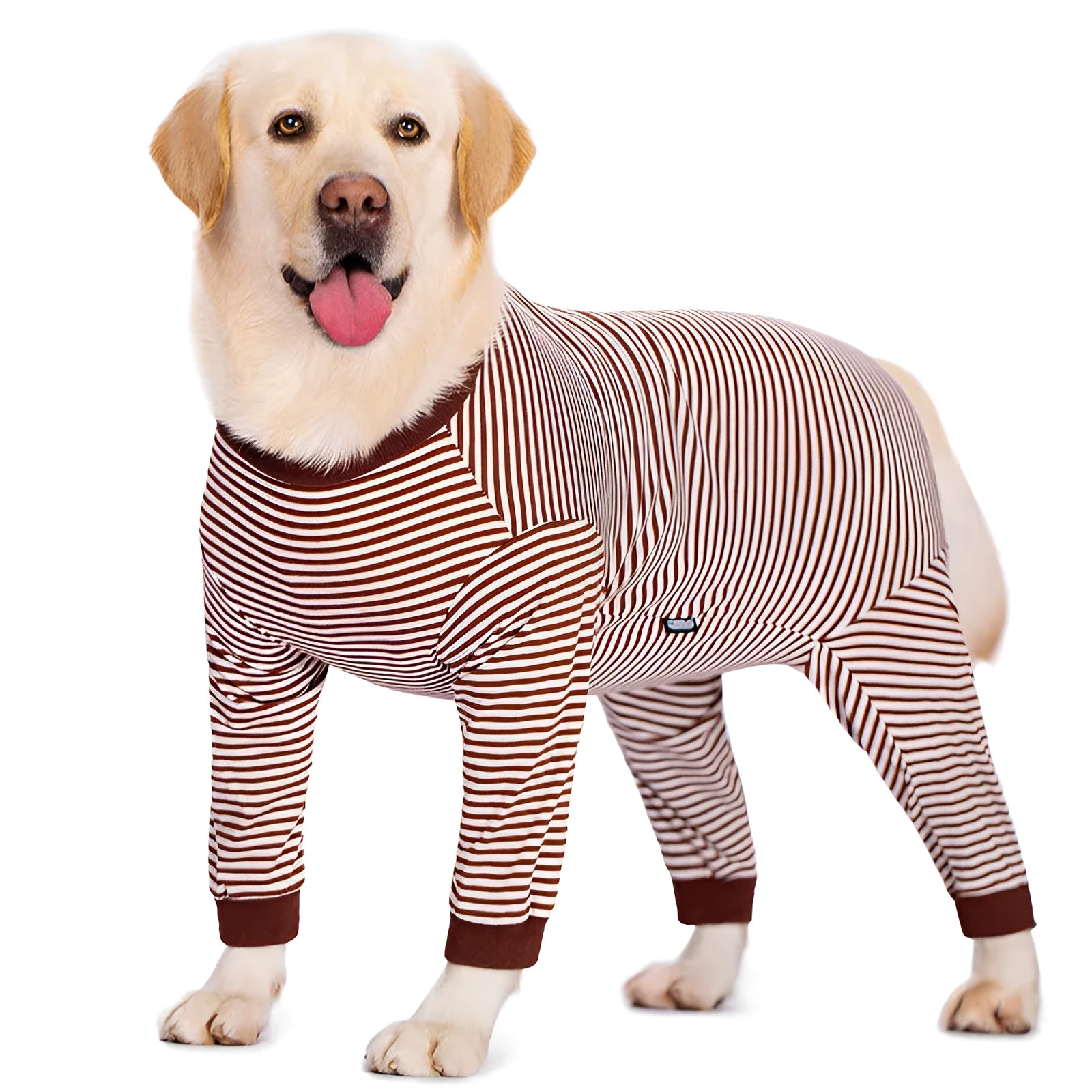 Striped four-legged dog shirt on a Golden Retriever, available in sky blue, brown, and black dark blue stripe.