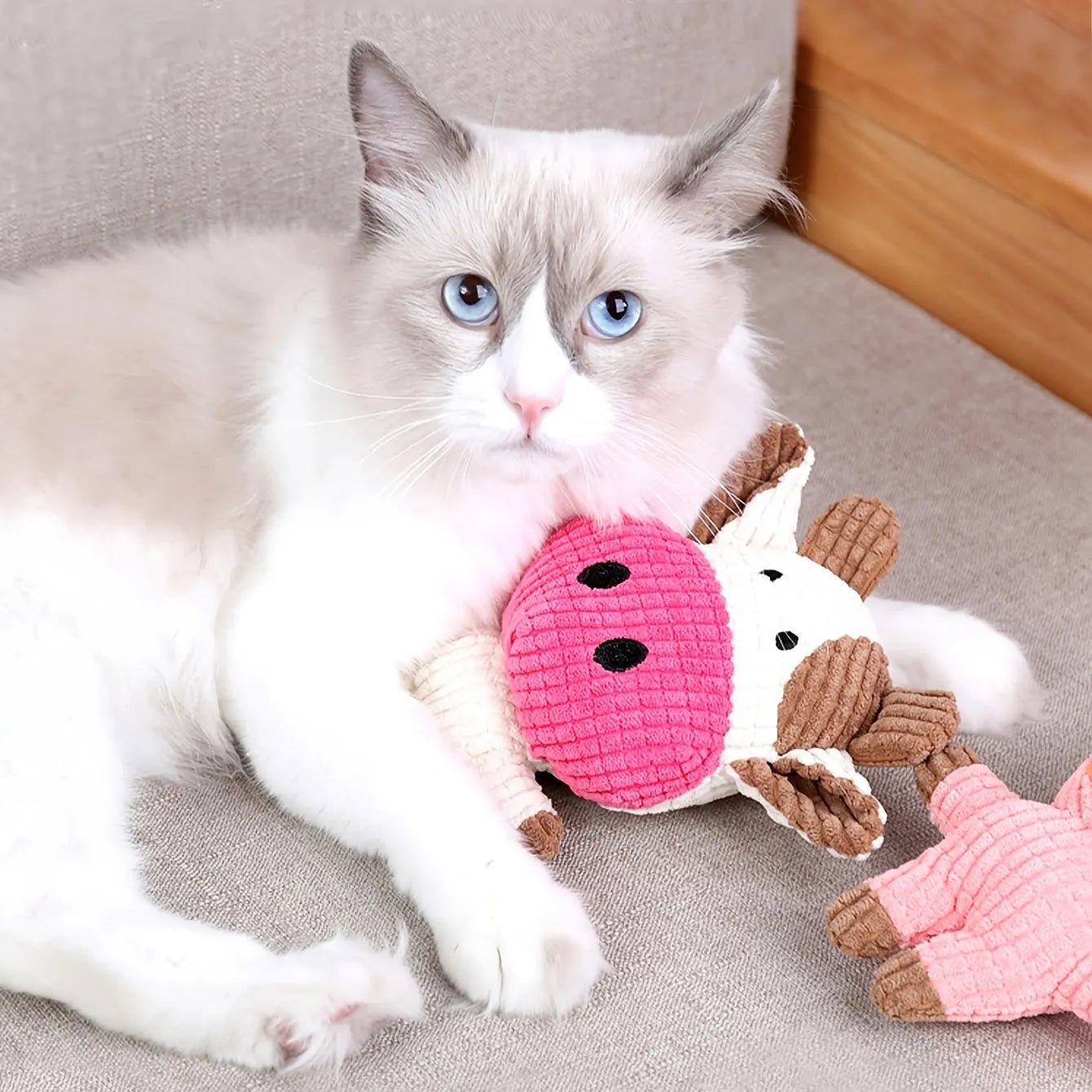Animal-shaped plush dog chew toy in bright colours with squeaker for small medium dogs
