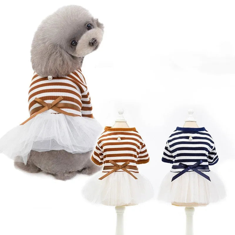 Bears Teddy cotton pet skirt for female dogs in coffee colour