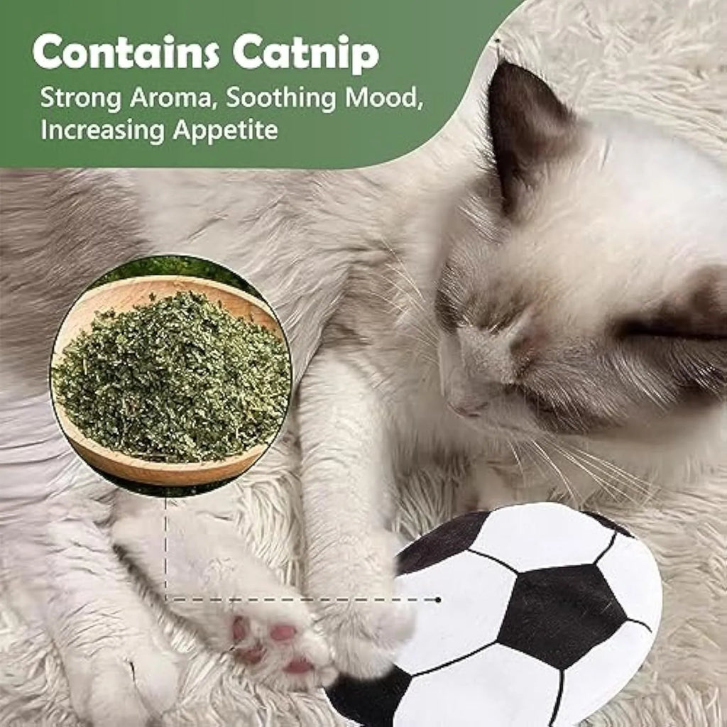 Soft plush flying disc cat toy with sport ball patterns containing catnip and crinkle sound layers