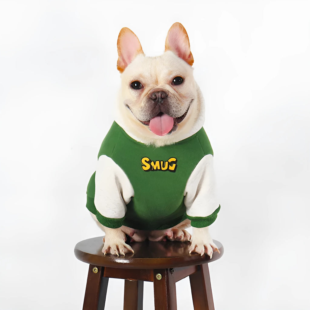 A green cotton dog jumper or sweater for large breeds, shown on a hanger.