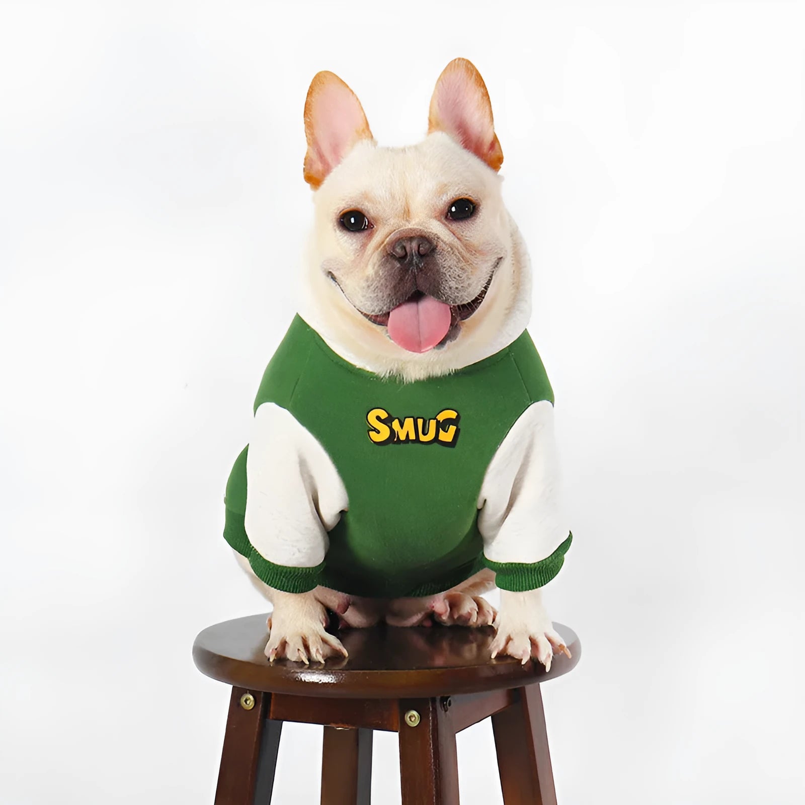 A green cotton dog jumper or sweater for large breeds, shown on a hanger.