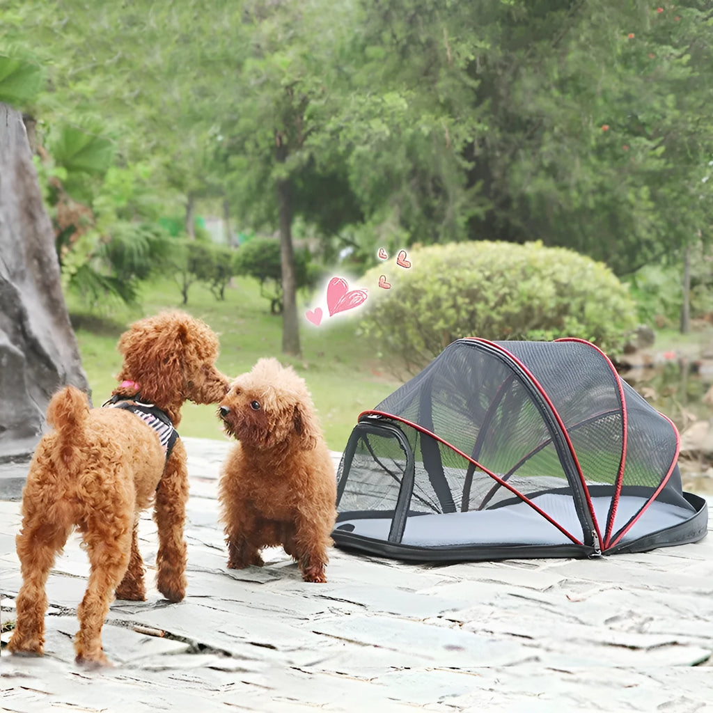 Folding cat tent with half mesh panels in portable travel design for indoor and outdoor use