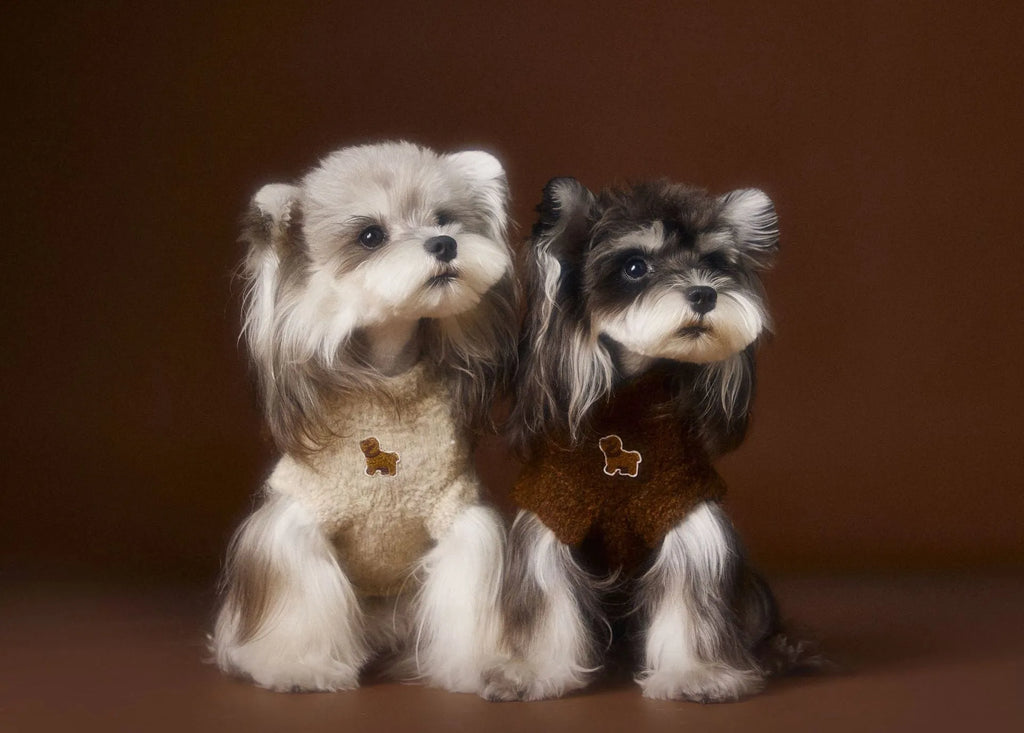 Sleeveless dog sweater vest with 3D ear design in beige for small breeds