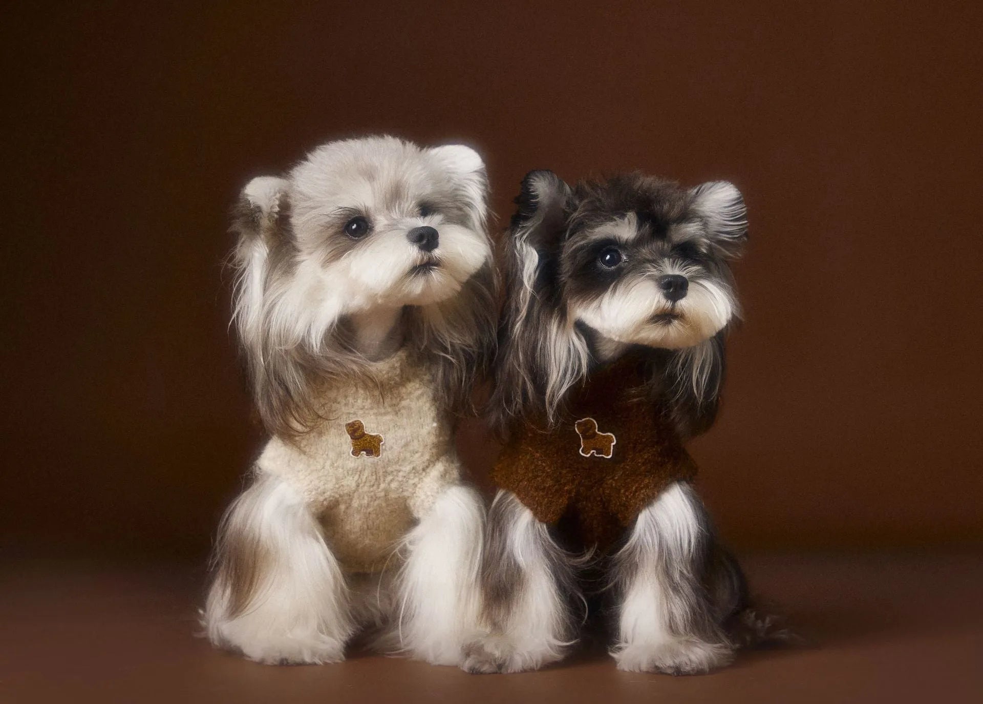 Sleeveless dog sweater vest with 3D ear design in beige for small breeds