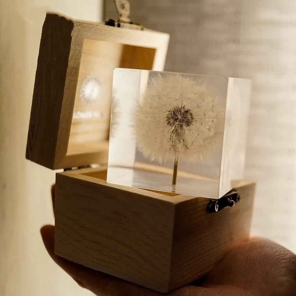 5cm clear resin cube containing preserved dandelion with wooden box and USB charging base