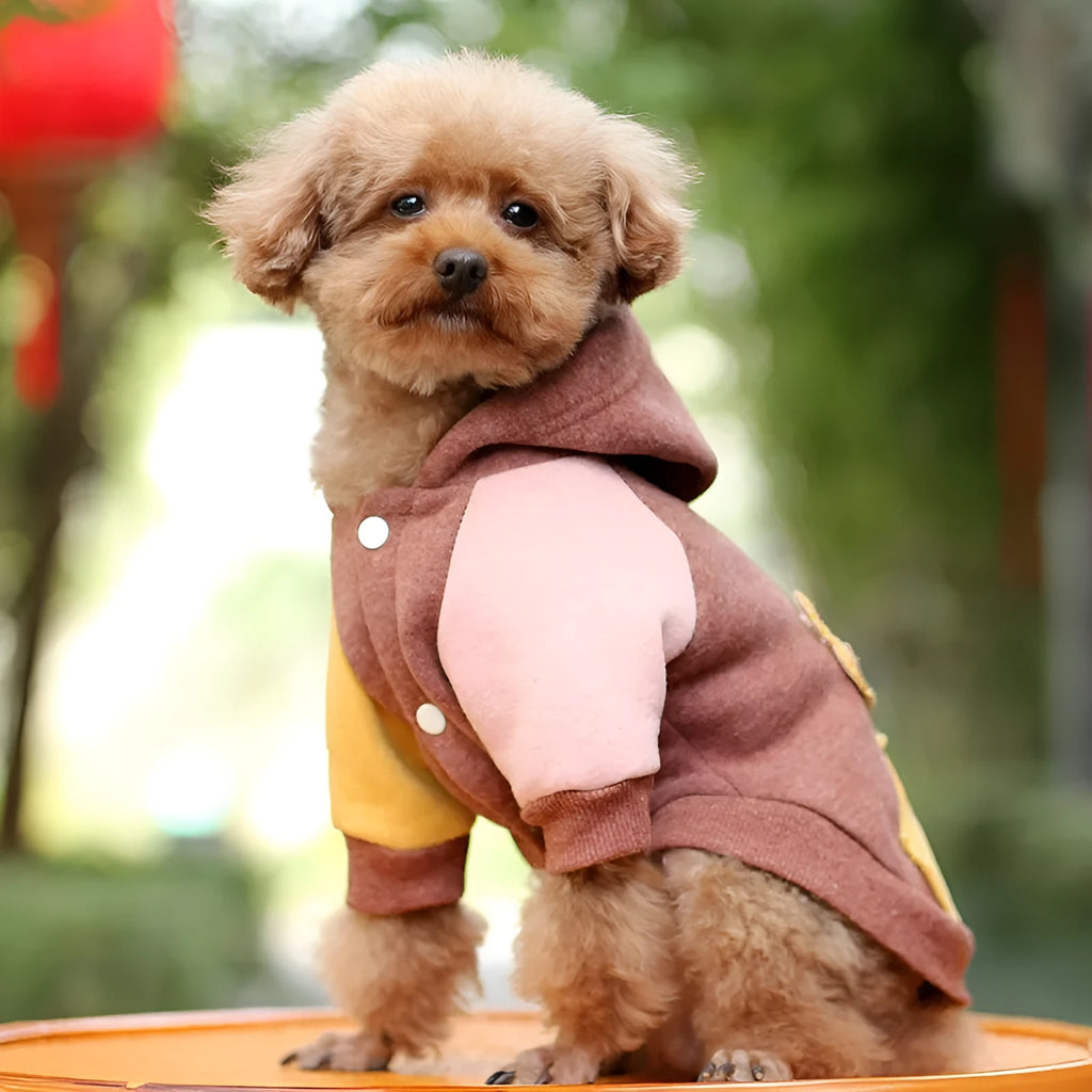 A brown cotton blend dog sweatshirt shown on a mannequin, size label visible.