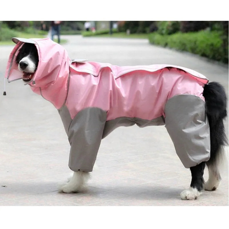 Dogs all-inclusive PU raincoat in blue colour on a dog for wet weather protection