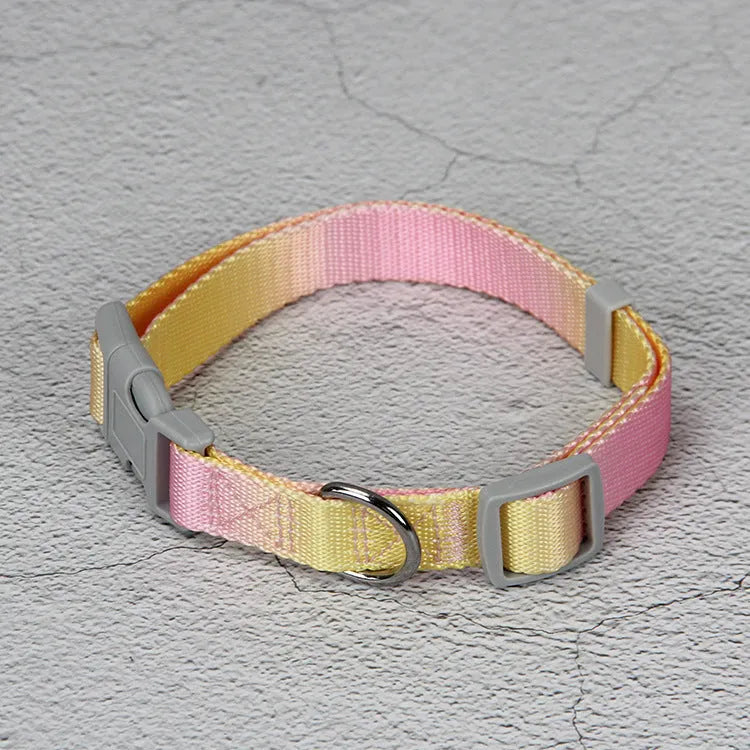 Nylon dog leash and collar set showing pink and blue gradient colour option.
