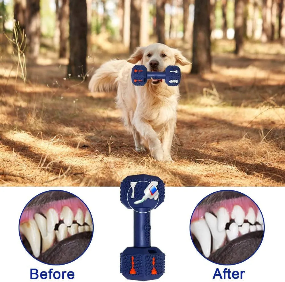Black and blue rubber dumbbell dog chew toy with textured surface for aggressive chewers