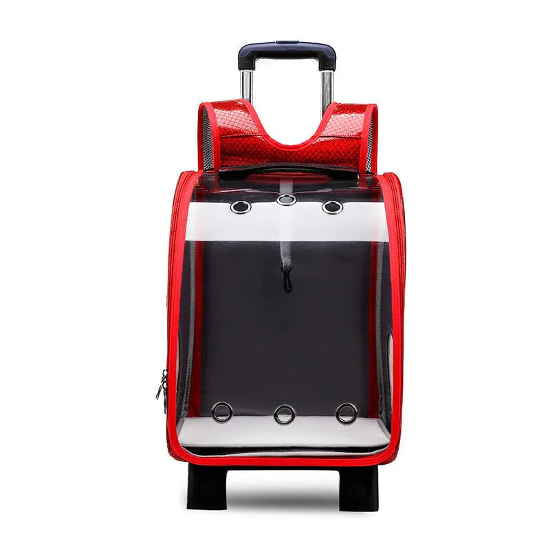 Transparent foldable pet trolley bag for small dogs and cats with shoulder carrying strap