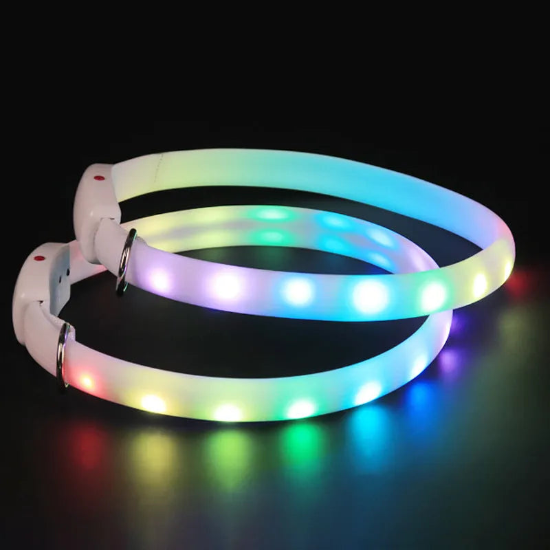 White USB rechargeable LED dog collar on a dark background, showing glowing tube and ABS switch