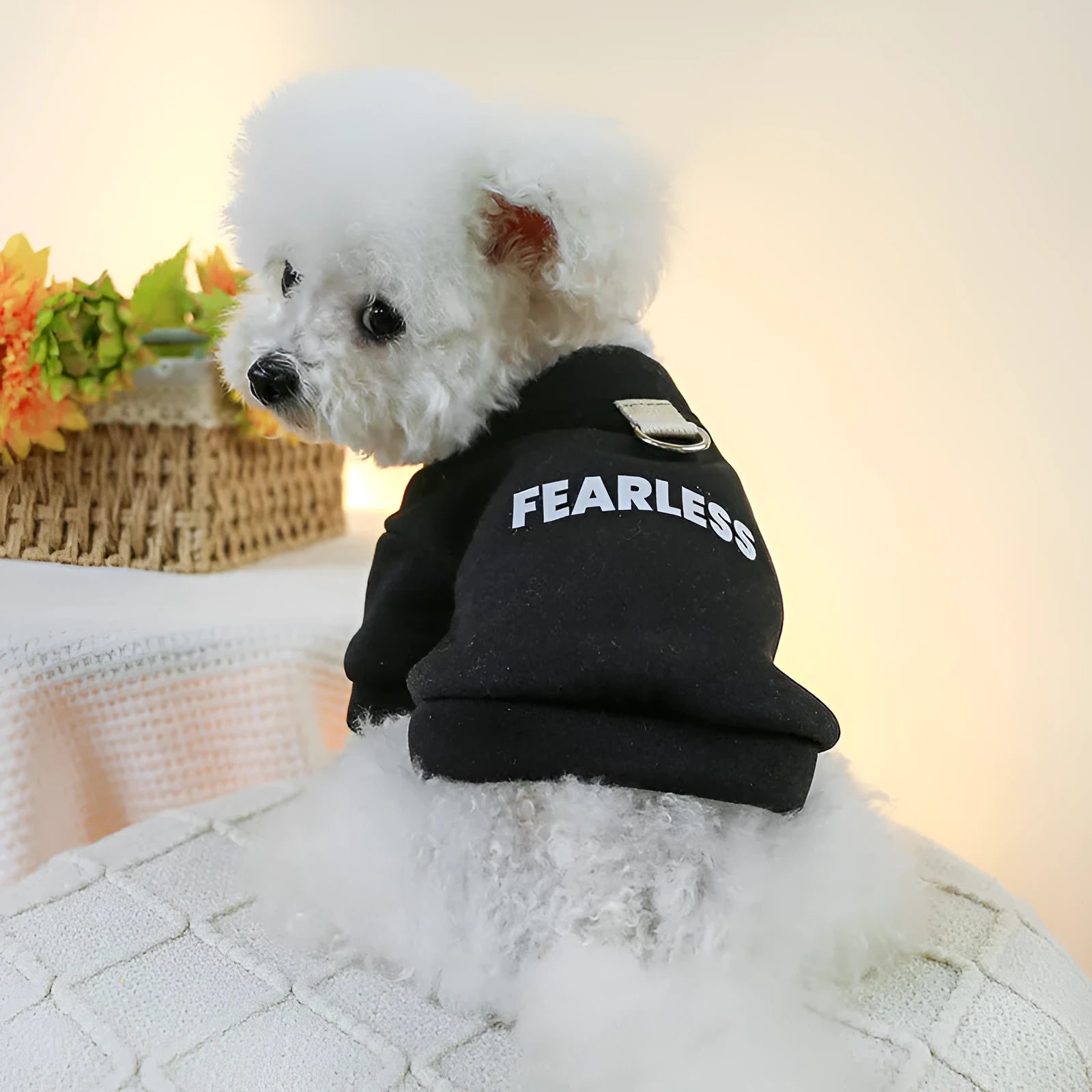 Pet clothing traction sweater in black with open button design for dogs and cats on neutral background