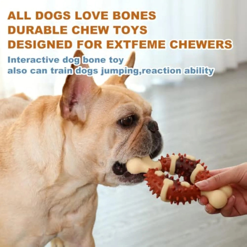 Natural rubber bone-shaped dog molar chew toy in two sizes for teeth grinding and anxiety relief