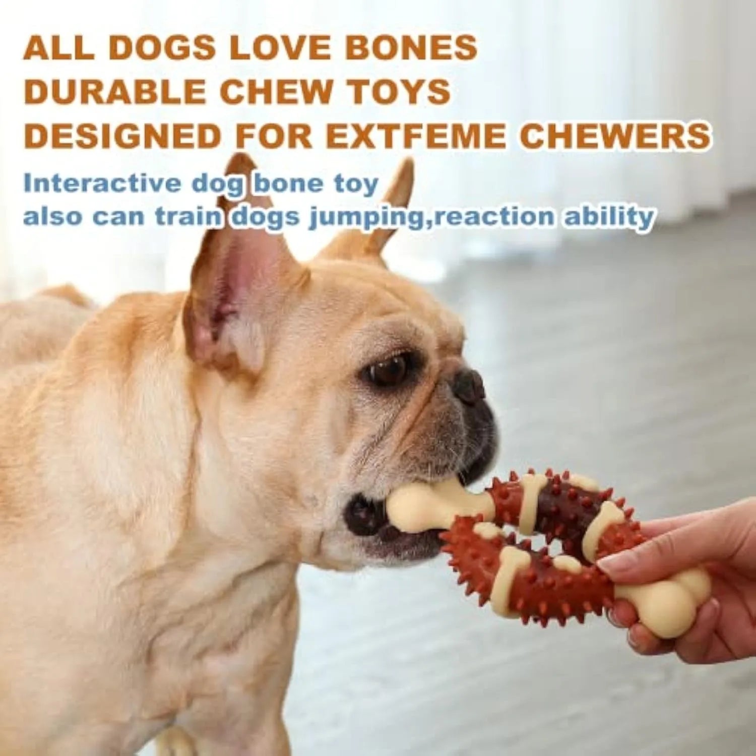 Natural rubber bone-shaped dog molar chew toy in two sizes for teeth grinding and anxiety relief