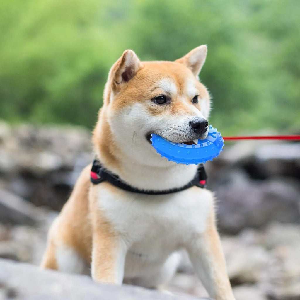 Freezable dog cooling chew toy in bones and circles shapes with thickened design