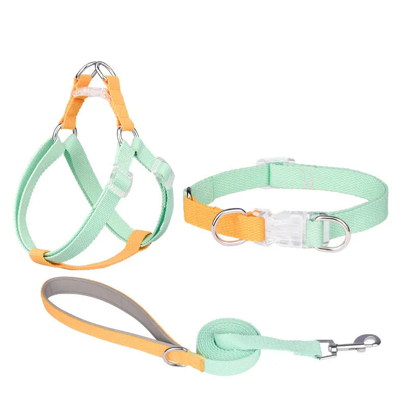 Polyester dog collar set with hand holding rope and chest strap in coordinated colour combinations