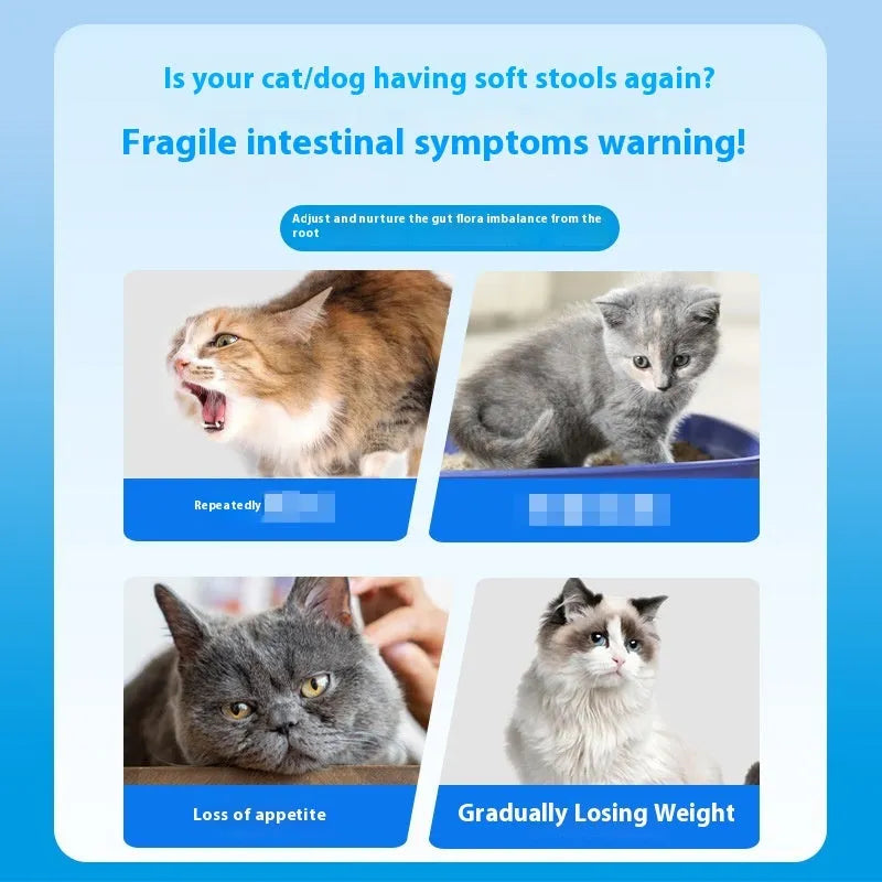 Bottle of 180 pet probiotic tablets for cat and dog digestive health supplement