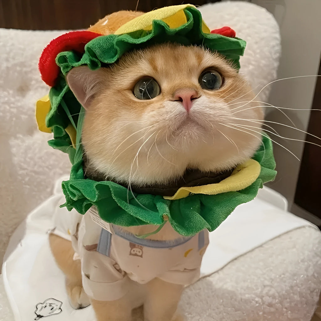 Cat wearing an adjustable burger-shaped conical headdress collar on a strap