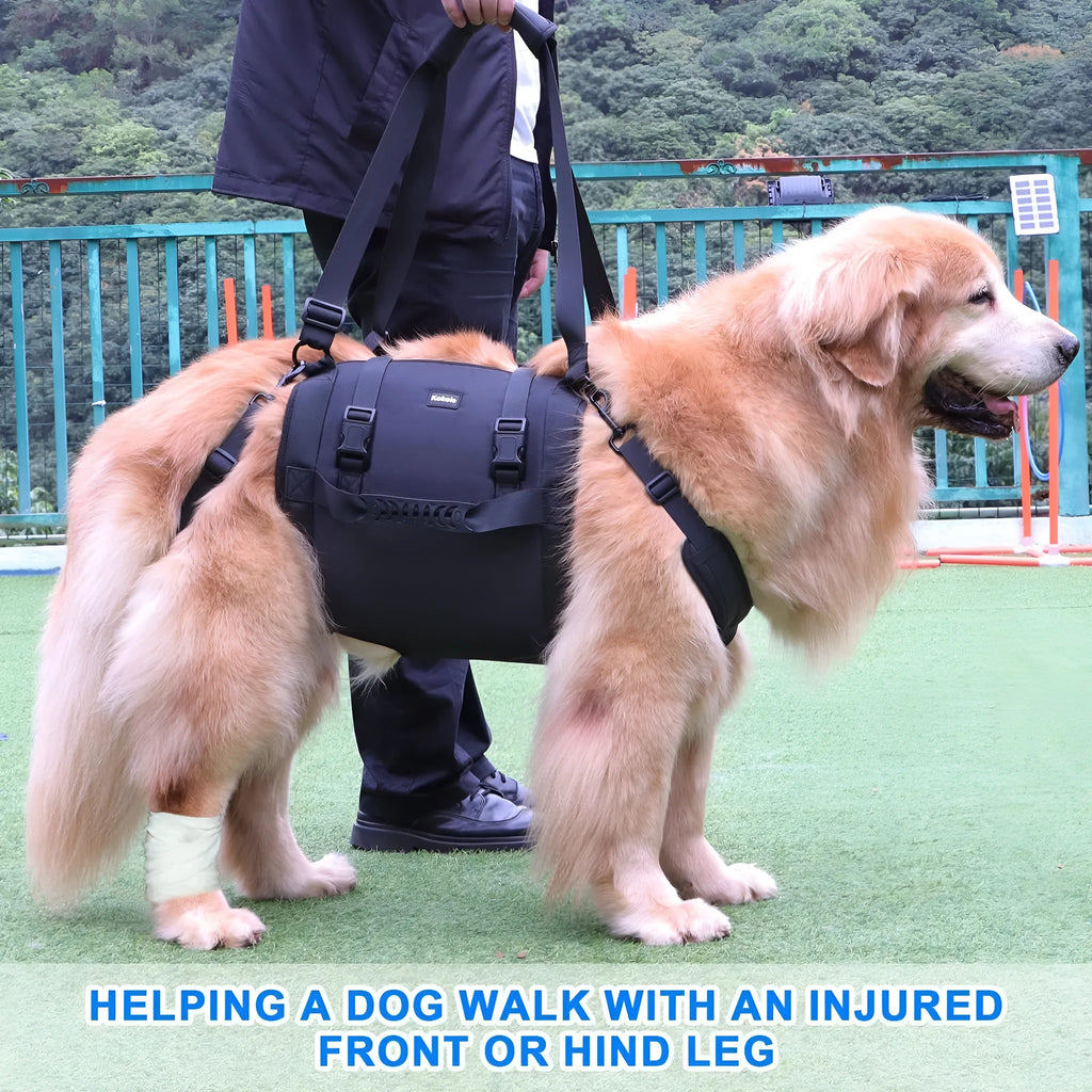 Black Oxford cloth dog harness showing chest strap and leg support system for rehabilitation and outdoor use.