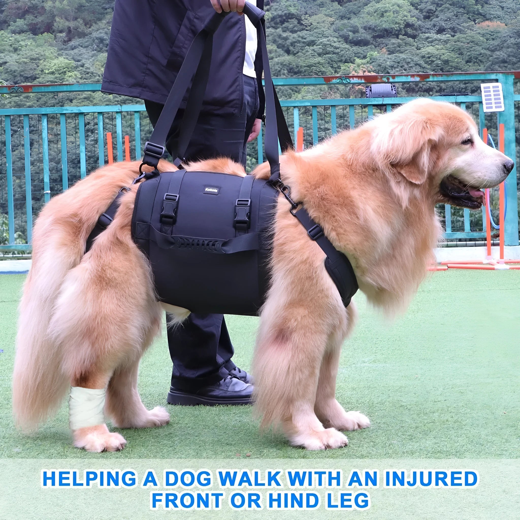 Black Oxford cloth dog harness showing chest strap and leg support system for rehabilitation and outdoor use.
