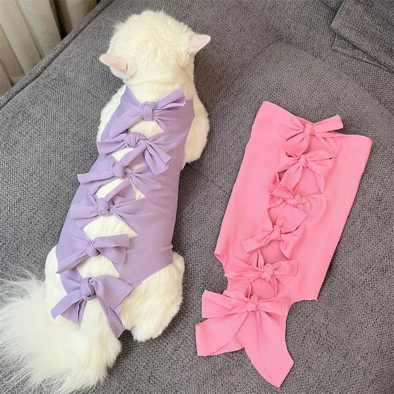 Lace-up polyester cat sterilisation recovery clothing shown in blue on a mannequin.