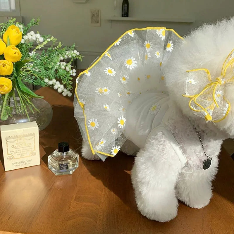Yellow daisy pattern polyester dog summer clothing outfit shown on dog model