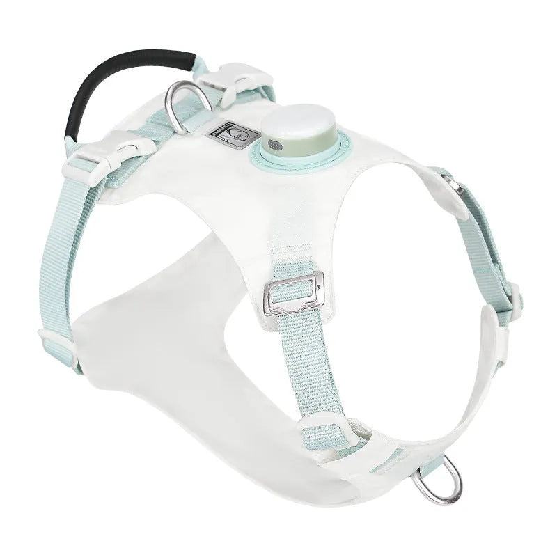 LED light dog chest harness in multiple colours with adjustable sizing for evening walks