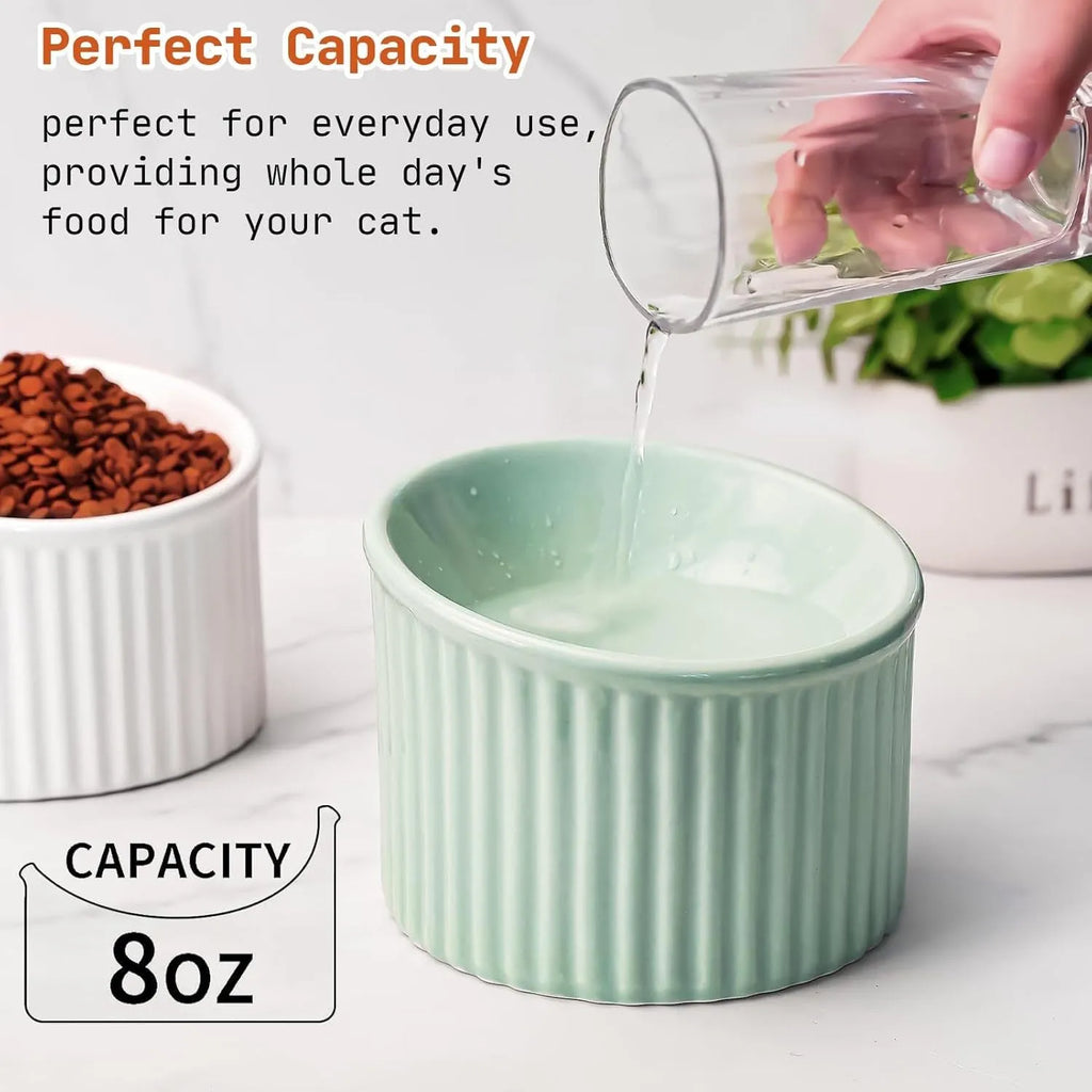 Dark green ceramic elevated cat bowl with tilted design on a wooden surface.
