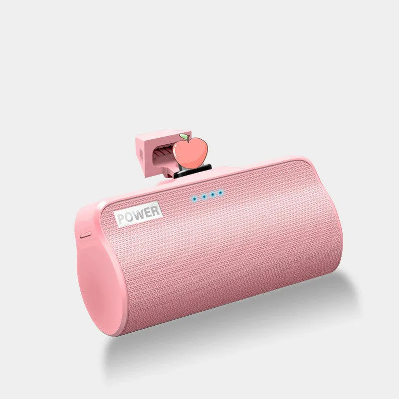 Universal power bank with ABS plastic casing and 3000mAh polymer lithium ion battery capacity
