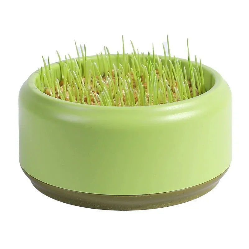 Hydroponic cat grass kit with soilless seeds in plastic growing cup