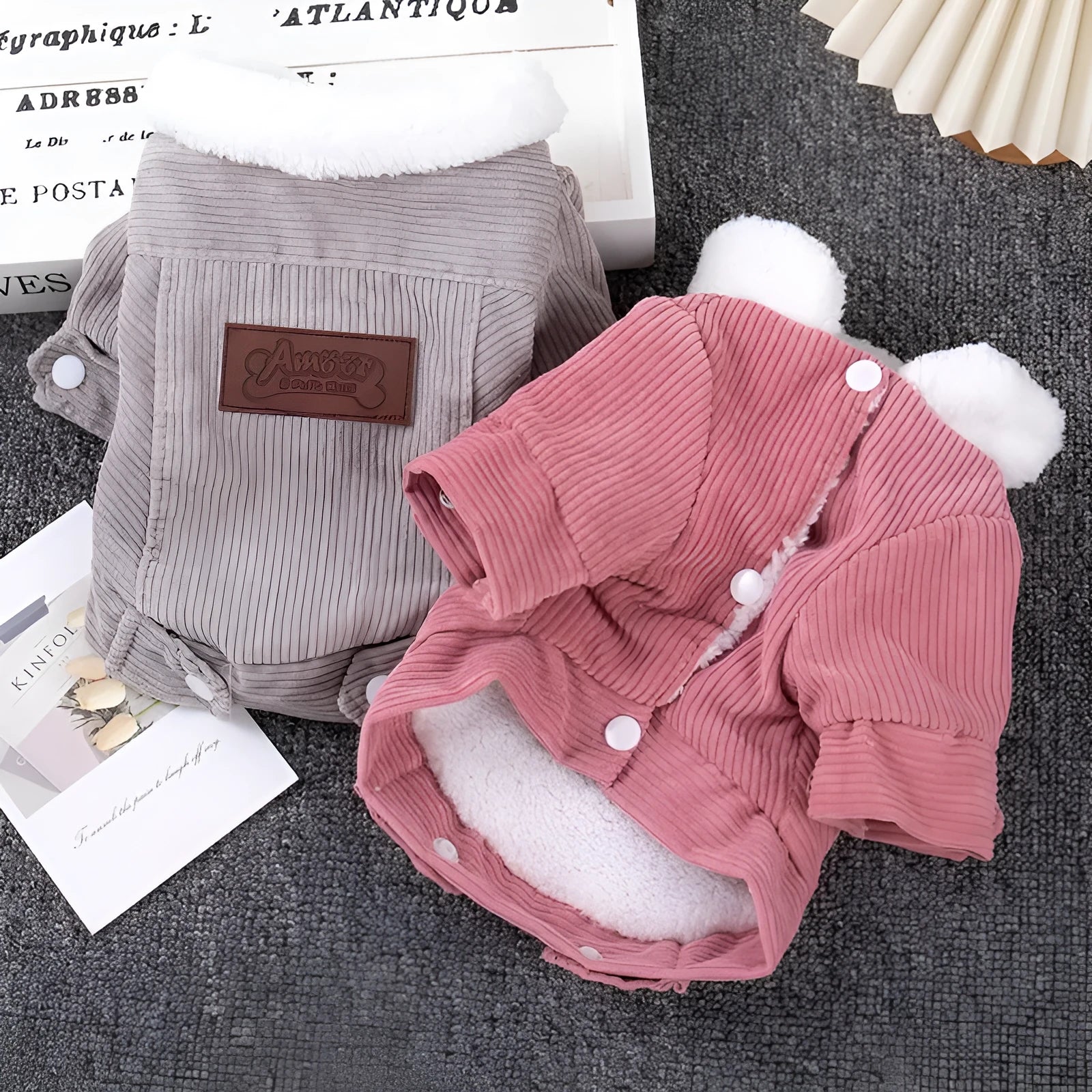 Lambswool grey dog vest with wool lining for autumn and winter wear