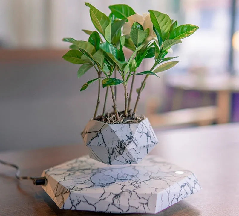 Marble colour levitating plant pot floating and rotating with magnetic technology