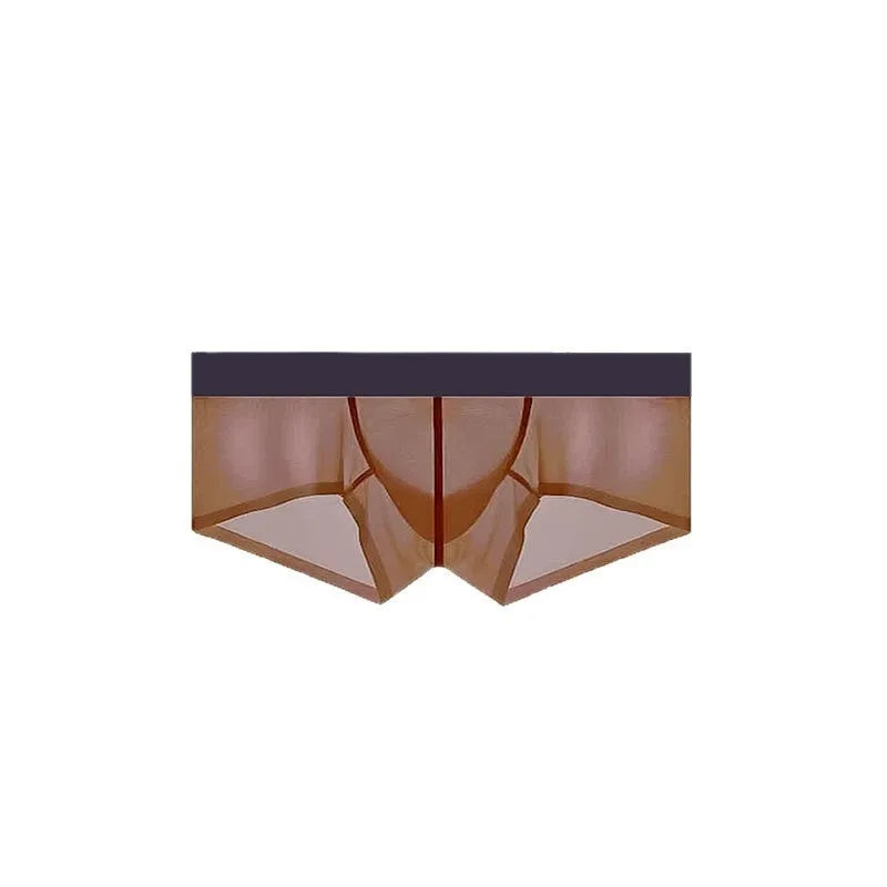 Men's seamless low waist underwear in ice silk fabric shown in chocolate colour on a white background