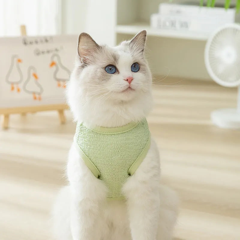 Green bear patch cat clothing with hollowed-out knitted fabric design on a feline