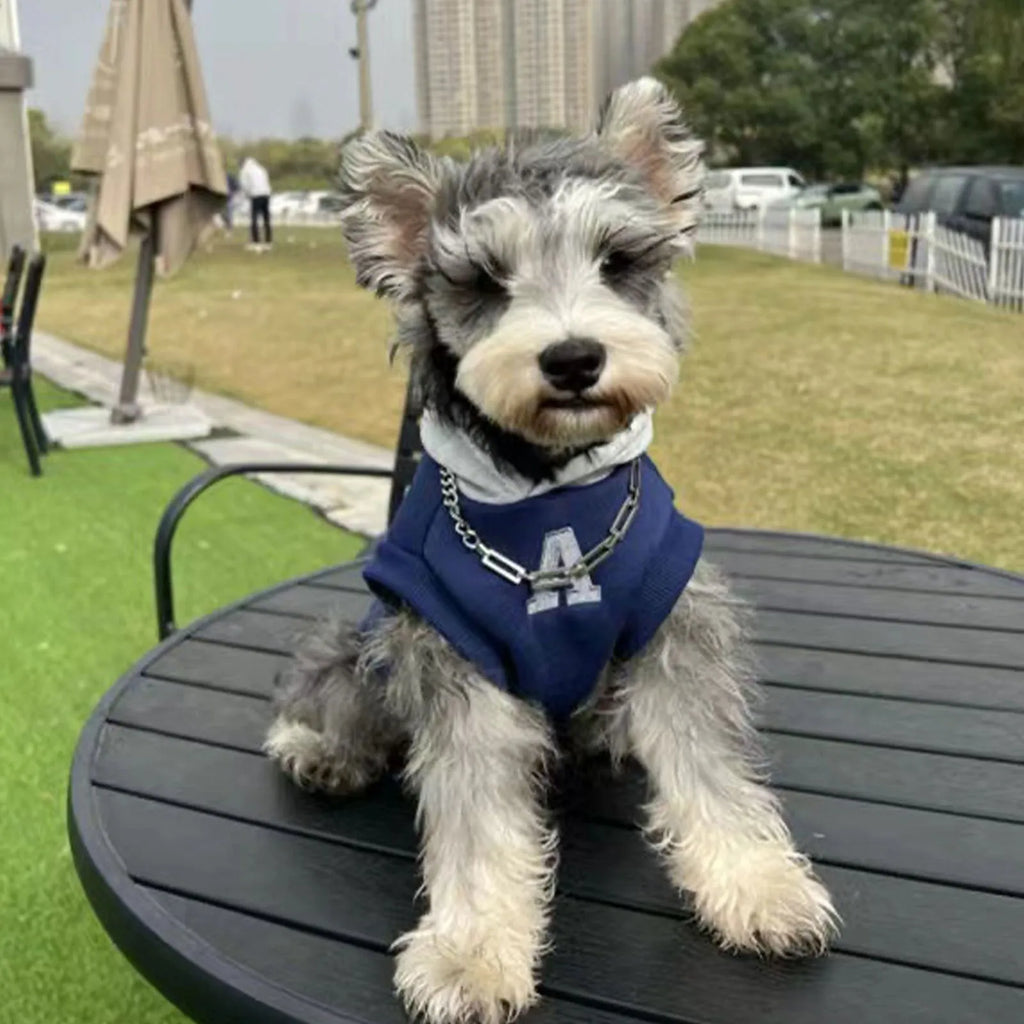 Blue pet sweater with reflective letters for a dog, showing slim-fitting design.