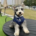 Blue pet sweater with reflective letters for a dog, showing slim-fitting design.