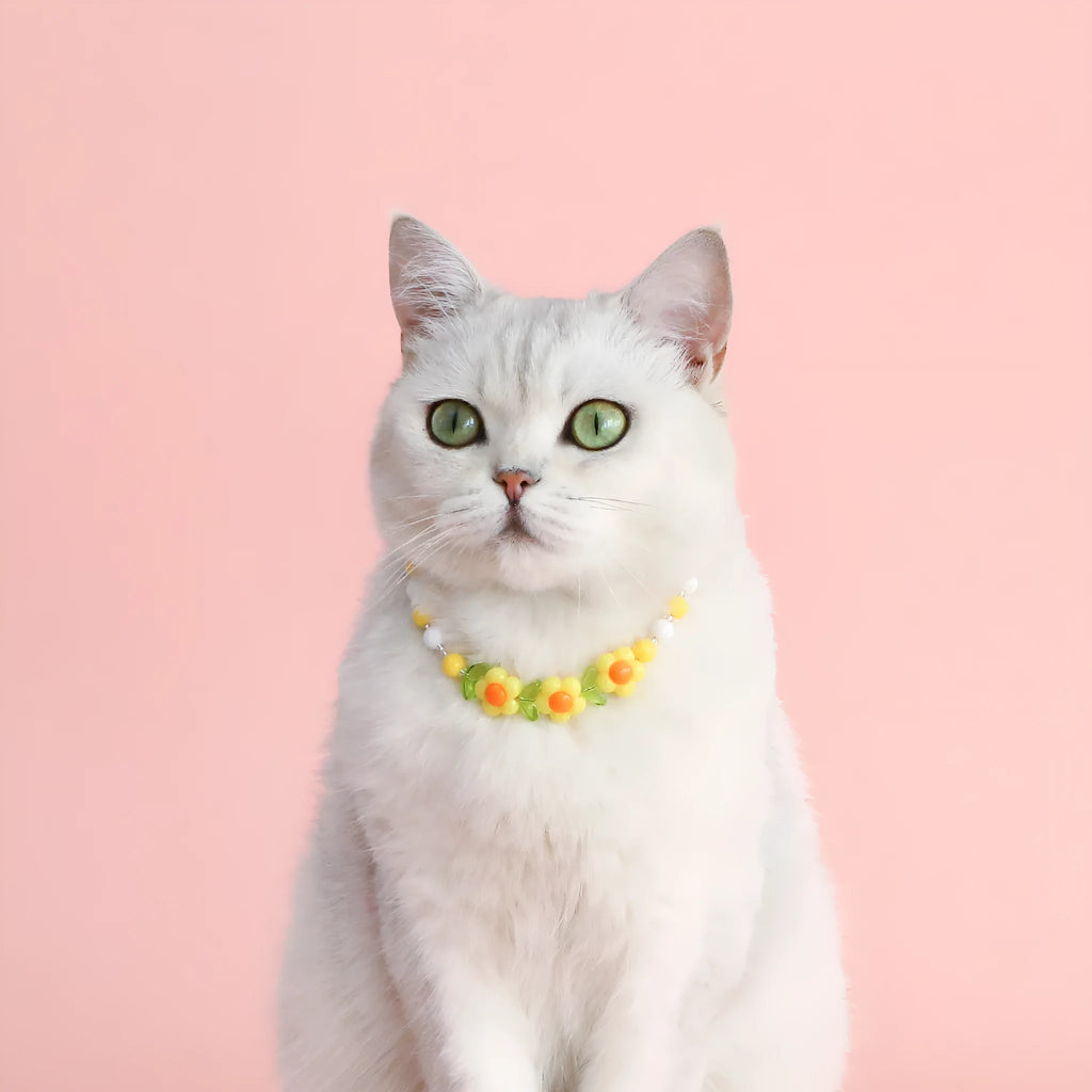 Colourful plastic pearl pet necklace for cats with small flower bead design and adjustable sizing